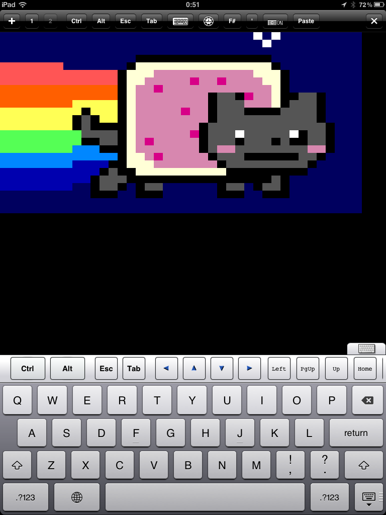 Nyan Cat on an iPad